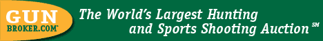 click here to see Gunbroker listings